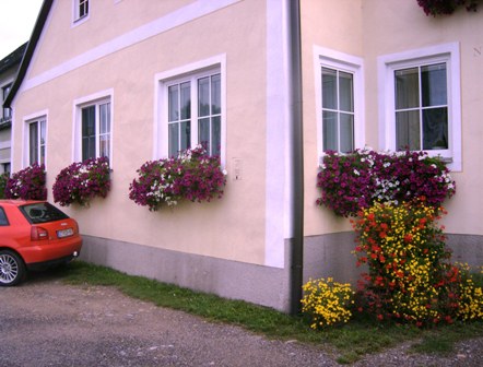 Schöner Blumenschmuck in Weinpolz