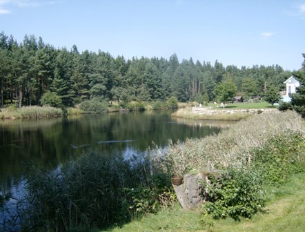 Blick über den Teich in Altnagelberg