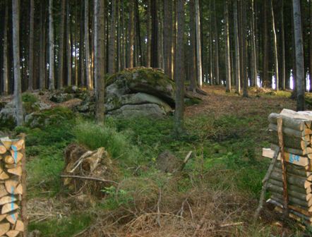 ...durch den Weinsbergerwald und bewunderten die Steinformationen