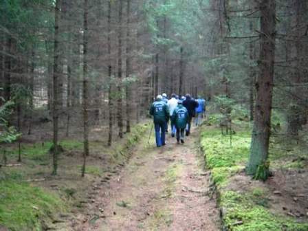 Durch den Wald mit den Wanderern aus Knigswiesen