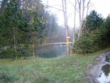 Idyllischer Teich im Hirschbachgraben