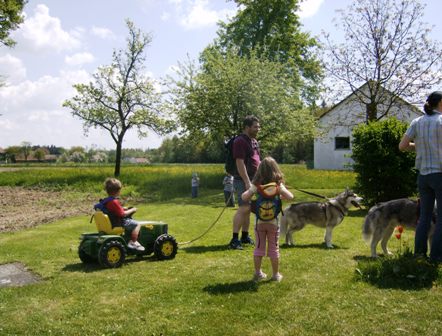...oder Hund zieht Papa zieht Traktor mit Sohn