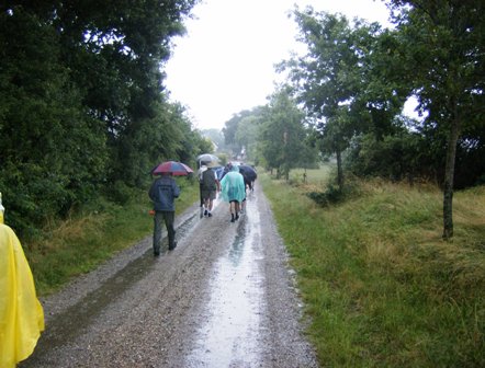 Wanderer mit Regenbekleidung und Schirm