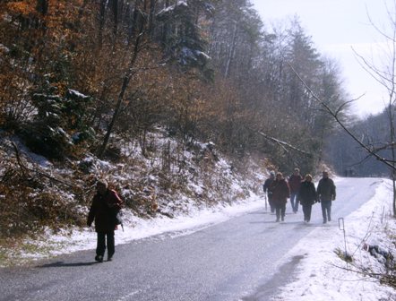 Der schne Weg zum Bad von Kobersdorf