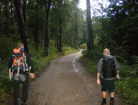 Wanderer im ersten Anstieg durch den Wald zum Richardhof