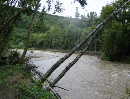 Die Schwechat im Helenental fhrt etwas Hochwasser