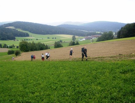 Marathonis in der Landschaft nach Mistlberg