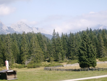 Ausblick von der Wildmoos-Alm zu den umliegenden Bergen