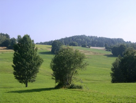 Blick in die Umgebung von Mnzbach