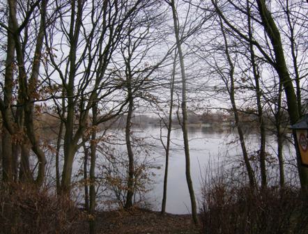 Idyllischer Blick zum Ratzersdorfer See