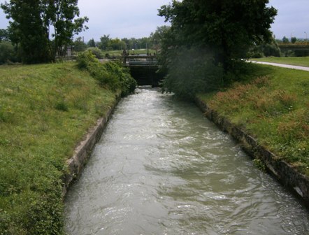Kanal neben der Traisen