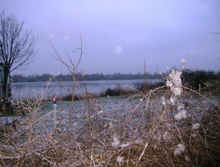 Mystischer Winterblick auf einen Teich