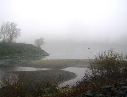 Donau-Zuflu im Nebel