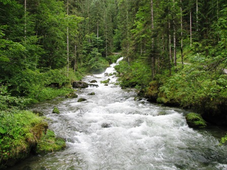 Die gewaltige Kraft des Wassers im Schwarzenbach
