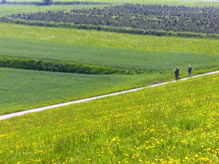 Wanderer zwischen blühenden Blumenwiesen
