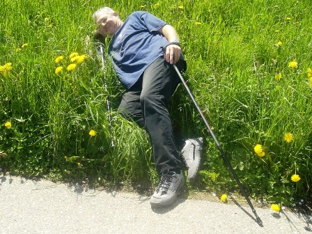 Hans denkt an ein kleines Mittagsschläfchen