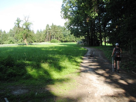 Auf schönen Naturwegen gehts weiter
