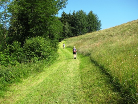 Die Streckenteile über Wiesen wurden eigens ausgemäht