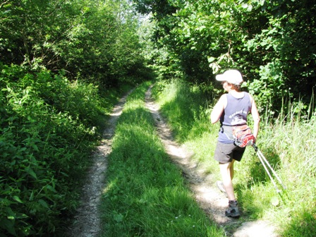 Beschwingt wird der Weg fortgesetzt...