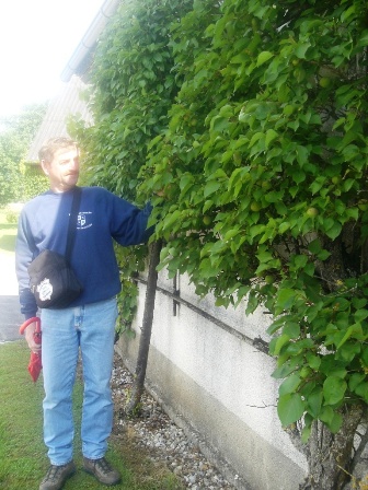 Unser Obmann Gerhard Hold kontrolliert...