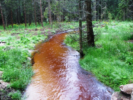 Das Wasser der Bäche ist rotbraun gefärbt