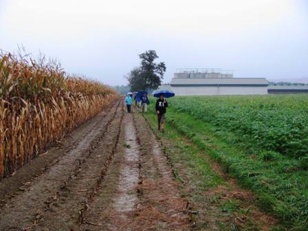 Mit Schirm, Charme aber ohne Melone gehts auf die ersten Kilometer - es regnet