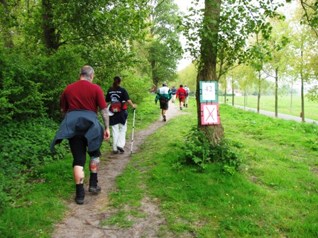 Auf einem recht schönen Pfad gehts weiter...