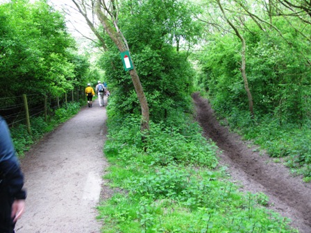 Wege für Wanderer und Reiter werden getrennt geführt - sehr g'scheit