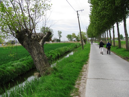 ...'endlich' eine Gerade