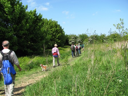 Das Schlußstück führt wieder auf Naturwegen durch die Dünen
