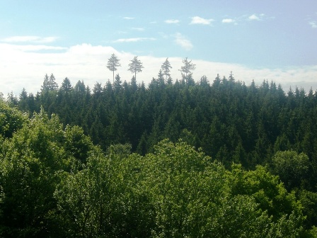 Die herausragenden VIER