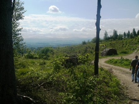 Schöner Blick über einen Kahlschlag