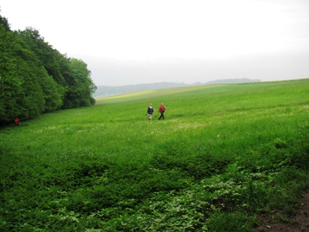 Über die grüne Wiese