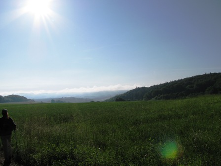 Blauer Himmel über grünen Wiesen