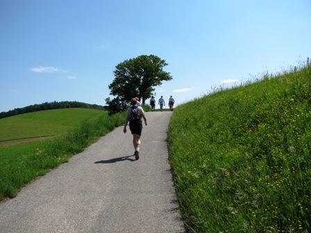 Gleich gehts wieder leicht bergan