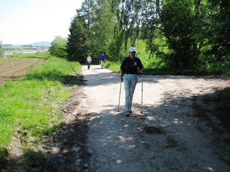 Bei Schönwetter gibt unser Zirberl wieder mehr Gas