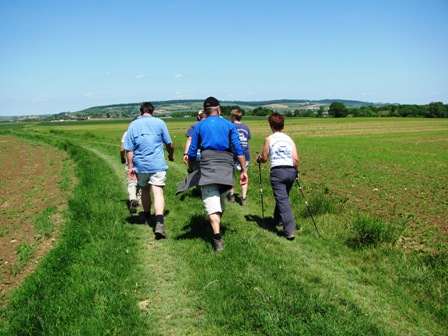 Nun wandert die Gruppe weiter über ein freies Feld...