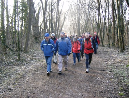 Die groe Gruppe durch das erste Waldstck in Langenzersdorf