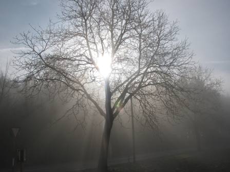 Nebel-Sonne Impression
