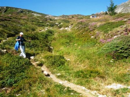Nach einer Minestrone (ebenfalls im Startgeld enthalten) gehts wieder steil bergab