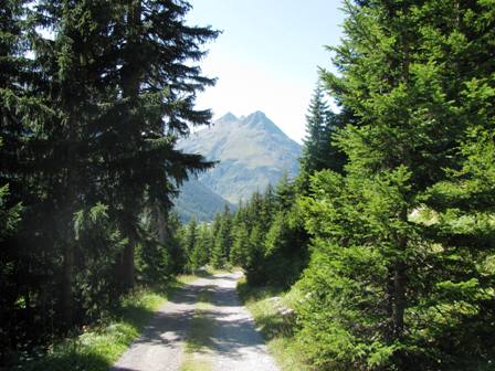 Beinahe im Tal wird der Weg wieder etwas gemütlicher zu gehen - im Hintergrund die Gorfenspitze
