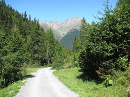 ...manchmal weniger steil - aber immer mit wunderbaren Blickfängen