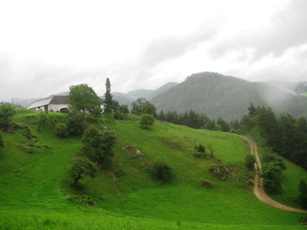 Ein schön auf einer Anhöhe gelegener Bauernhof...