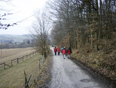 Zahlreiche Wanderer auf einem schönen Weg entlang des Waldes