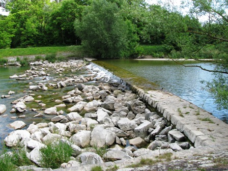 Wieder einmal ein Blick auf die Traisen