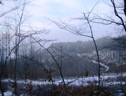 Blick in den verschneiten Wienerwald