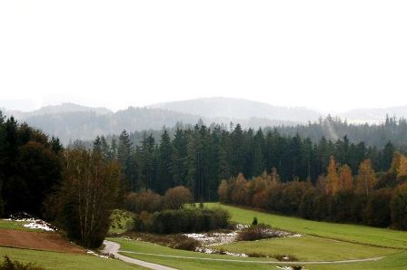 Blick bers wunderschne Waldviertler Hochland bei Kottingnondorf