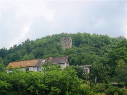 Blick zur Ruine Schonenburg