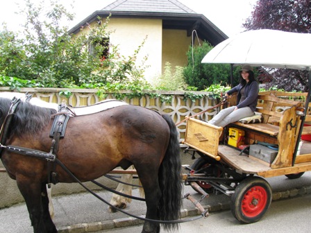 Was für schöne Leinen - äh... Zügel oder so