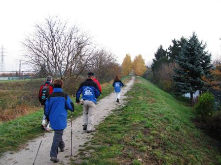Die Marathongruppe am Damm neben dem Donaugraben Richtung Bisamberg
